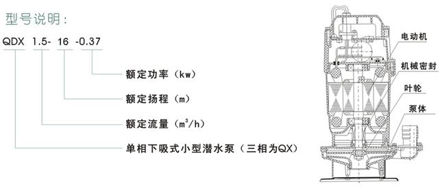 QDX型塑料潛水泵型號(hào)/結(jié)構(gòu)